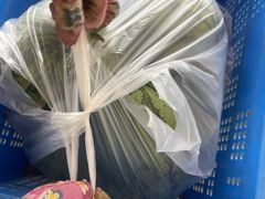 -庞各庄翠芳园西瓜蔬菜基地采摘园