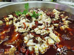 -重庆何乌鱼(南湖逸家店)