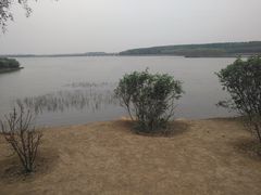 -丁香湖公园