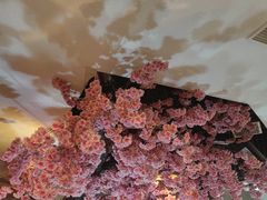 -九田家黑牛烤肉料理(云龙万达店)