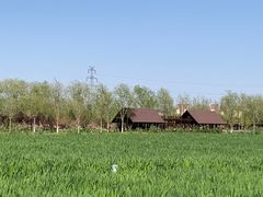 -永定河休闲森林公园