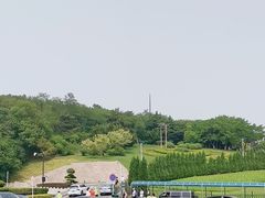 -棒棰岛宾馆景区