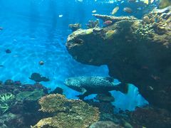 -鹿儿岛水族馆