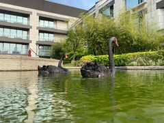 -行者书屋大堂吧 ·下午茶(南京圣和府邸酒店)