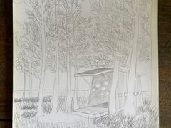 -南宁良凤江国家森林公园