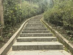 -桃花岭景区