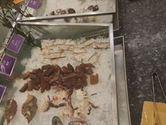 -圣廷苑酒店-世纪楼菲苑自助餐厅