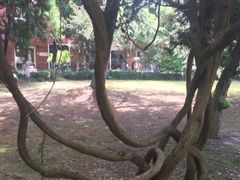 -同济大学(沪西校区)