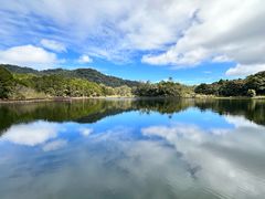 -海南热带雨林国家公园吊罗山景区