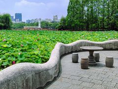 -黄兴公园