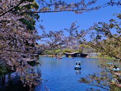 -上海共青森林公园