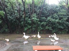 -东华大学(松江校区)