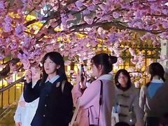 -武汉大学-樱园