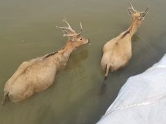 -宁波杭州湾国家湿地公园