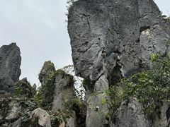 -泥凼石林风景区