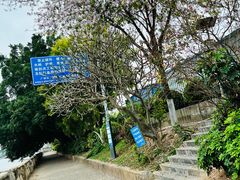 -长洲岛