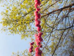 -村上一屋(望京店)