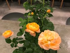 -半山腰·云南菜(侨福芳草地店)