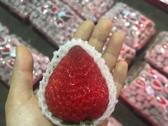 -菜园坝水果市场