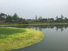 -桤木河湿地公园