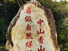 -田心森林公园