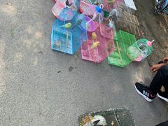 -蒲河大集