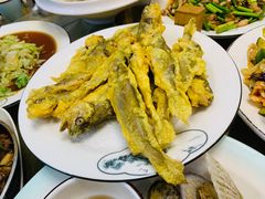 -老家黄墩小错鸡·活海鲜