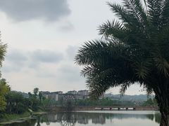 -枫香湖儿童公园