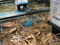 -盒马鲜生(曜一城店)