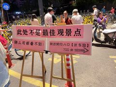 -武昌江滩