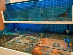 -龙岩佰翔京华酒店(京华购物中心店)