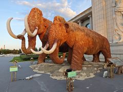 -满洲里西郊国际机场