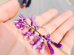 -张公山寨景区
