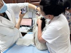 -美联众合动物医院·24h转诊中心