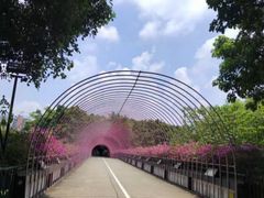 -观澜湖生态运动公社