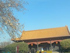 -明故宫遗址公园