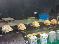 -万达文华酒店·美食汇自助餐厅