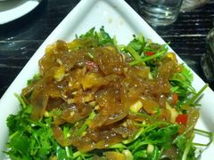 凉拌海蛰皮，也是只有表面一点下面都是垫的香菜，感觉像凉拌香菜-刘胖子家常菜·蹄花焖藕(兴业店)