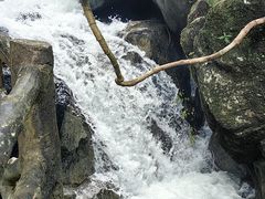 -广州市流溪河国家森林公园