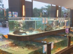 -盆满钵满·国家非遗传承(云台店)