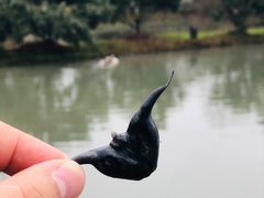 -乌村