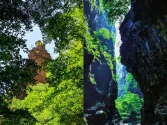 -白洋淀风景区