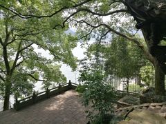 -严子陵钓台(富春江小三峡)