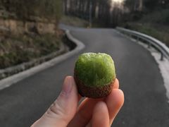 -山王坪喀斯特国家生态公园