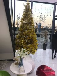 -沐泽SALON