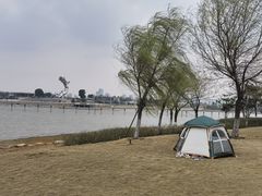 -九龙湖公园