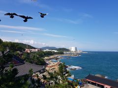 -海东龙宫寺