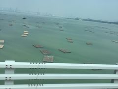 -松记糖水店(铜锣湾分店)