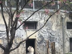 -黔灵山公园