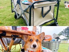 -南京外国语学校(仙林分校西区)